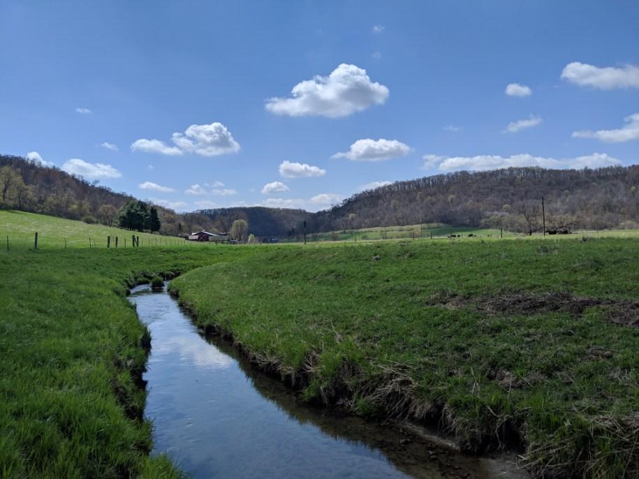 Trout stream cutting through a green valley