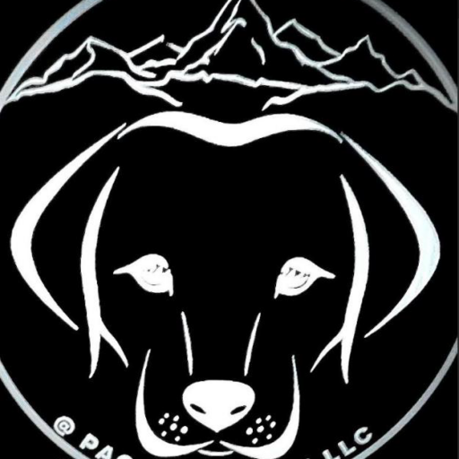 Pack Ventures Logo